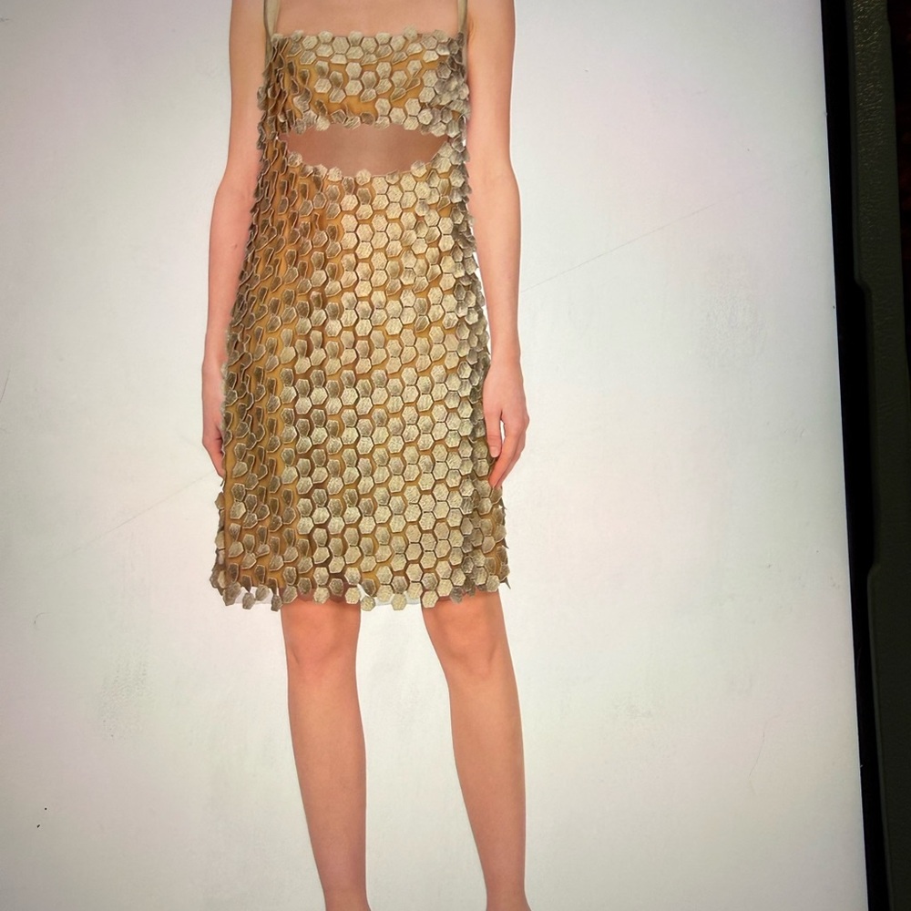 Alberta Ferriti Elegant Gold and Sheer Patterned Dress - Picture 2 of 6